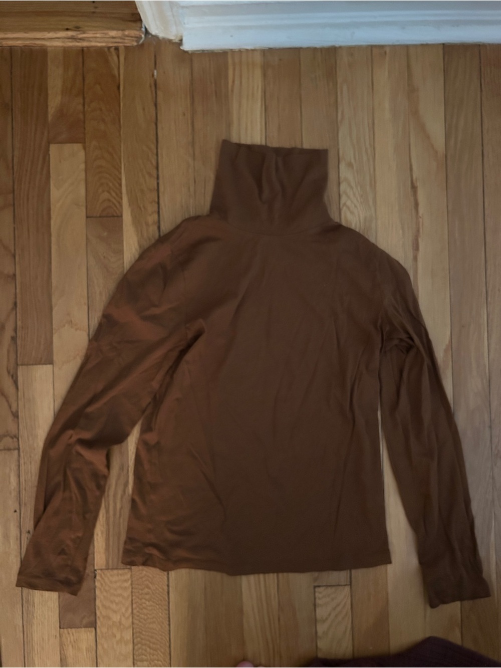 J.Crew Brown Turtleneck Long Sleeve Top